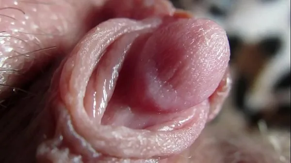 Fresh awesome big clitoris showing off total Videos