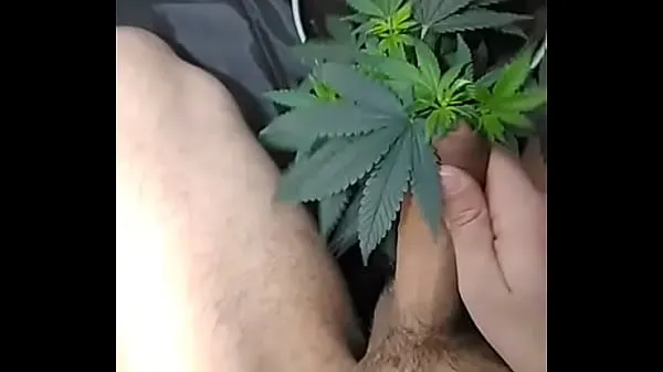 d. gay jerking off for a plant Jumlah Video baharu