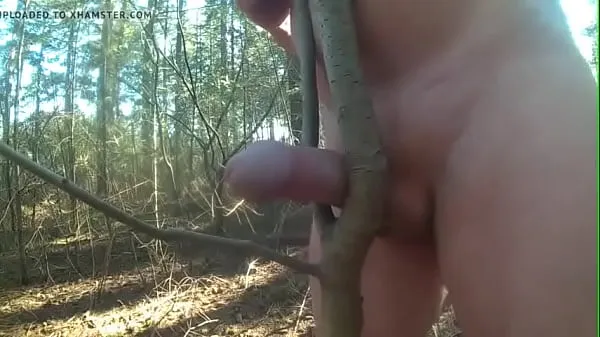 Celkový počet nových videí: fuck tree deep forest