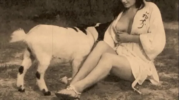 Fresh Vintage Taboo, Pussy & Pooch total Videos